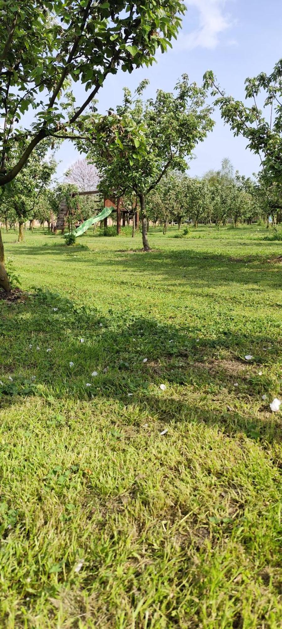 Salas Farma 47-Miris Dunja Cenej Luaran gambar