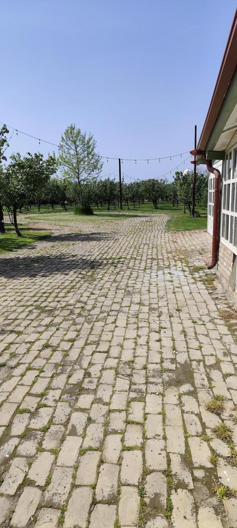 Salas Farma 47-Miris Dunja Cenej Luaran gambar