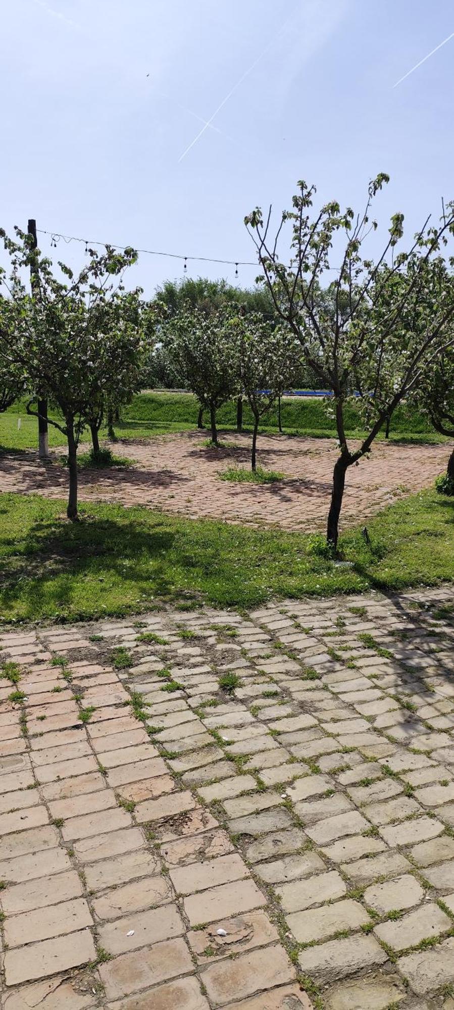 Salas Farma 47-Miris Dunja Cenej Luaran gambar
